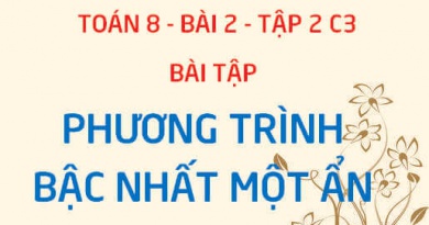 Bài tập phương trình bậc nhất một ẩn có đáp án - Toán 8 bài 2 tập 2 chương 3